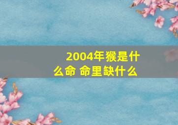 2004年猴是什么命 命里缺什么